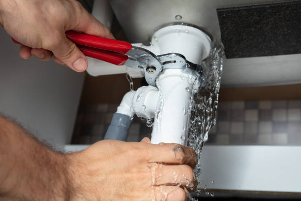 Best Local water damage restoration  in Prieton, NC