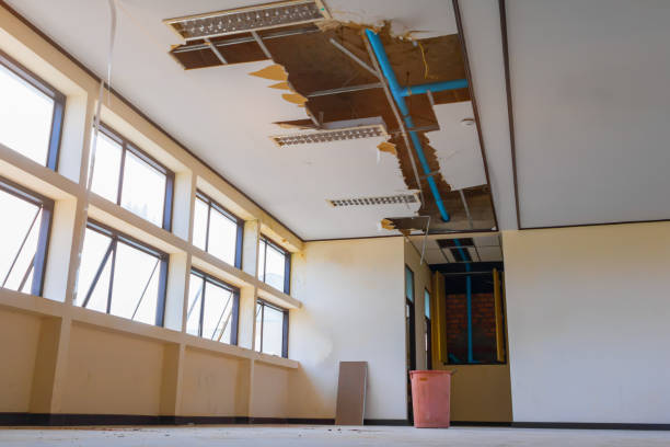 Prieton, NC Water damage restoration Pros