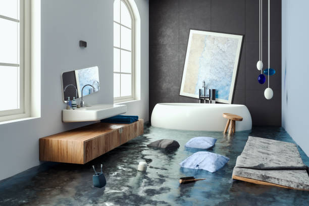 Best Ceiling water damage repair  in Prieton, NC