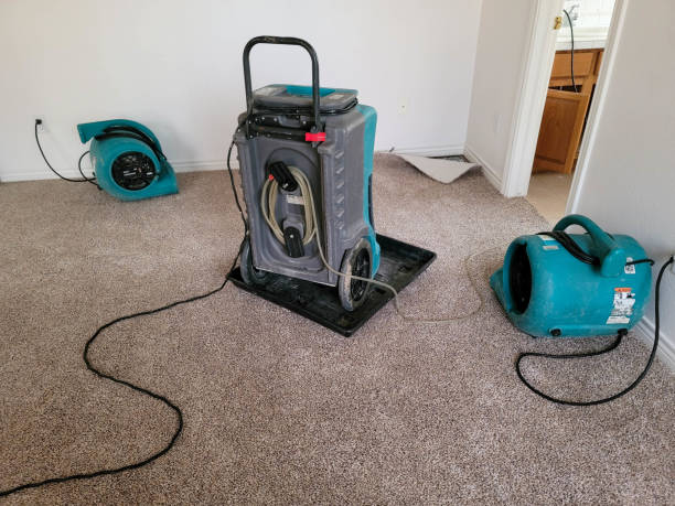 Best Flooded house restoration  in Prieton, NC