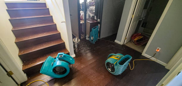 Best Water damage contractors near me  in Prieton, NC