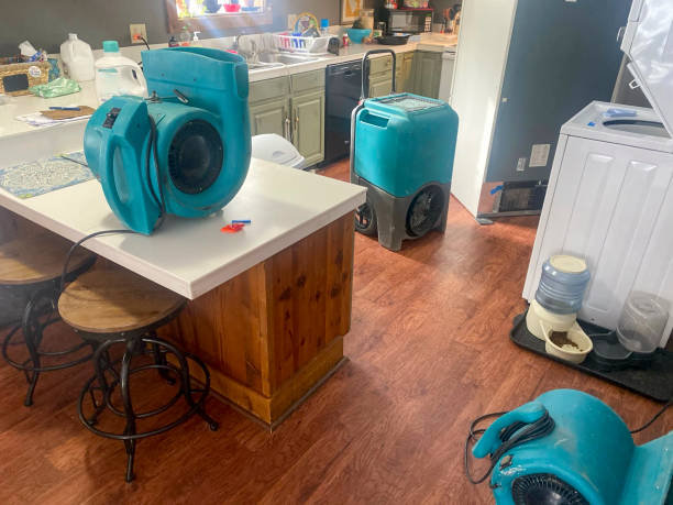Best Ceiling water damage repair  in Prieton, NC