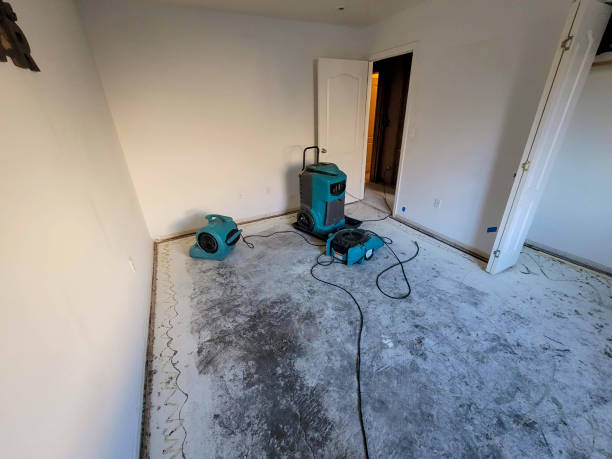 Best Water damage cleanup near me  in Prieton, NC