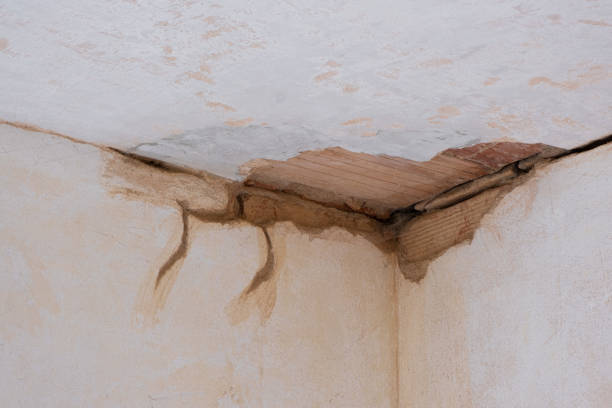 Best Water damage restoration cost  in Prieton, NC