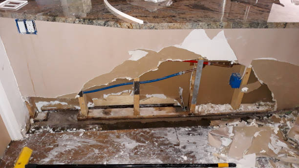Best Basement water damage restoration  in Prieton, NC