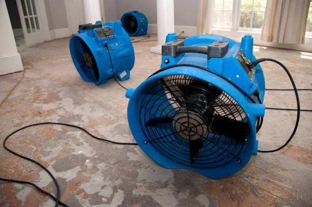 Best Mold removal after water damage  in Prieton, NC