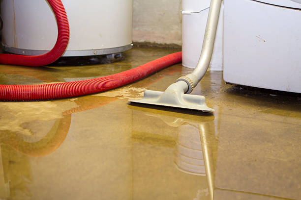 Best Commercial water damage restoration  in Prieton, NC
