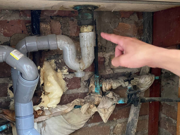 Best Fire Damage Restoration  in Prieton, NC