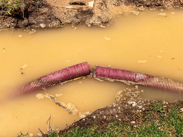 Best Water damage contractors near me  in Prieton, NC